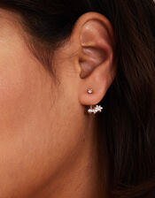 Sterling Silver-Plated Flower Back Stud Earrings, , large