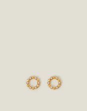 14ct Gold-Plated Flower Circle Stud Earrings, , large
