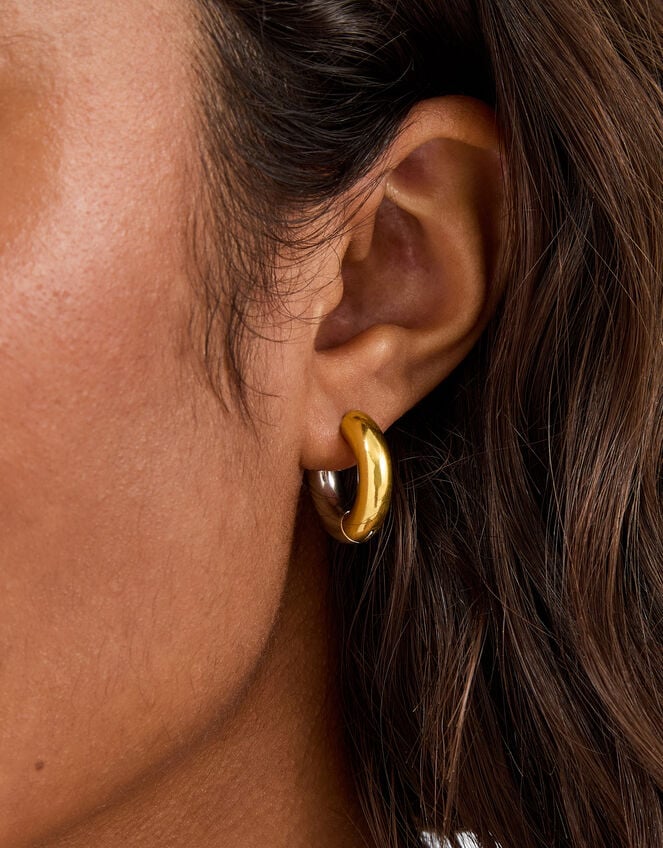 Stainless Steel Mixed Metal Hoop Earrings, , large