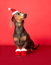 Santa Dog Booties, Red (RED), large