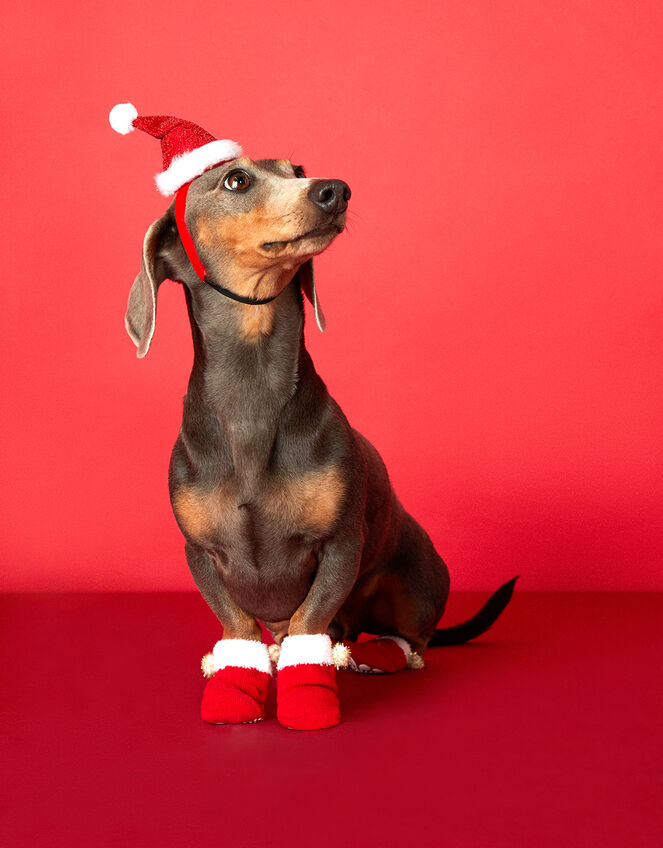 Santa Dog Booties, Red (RED), large