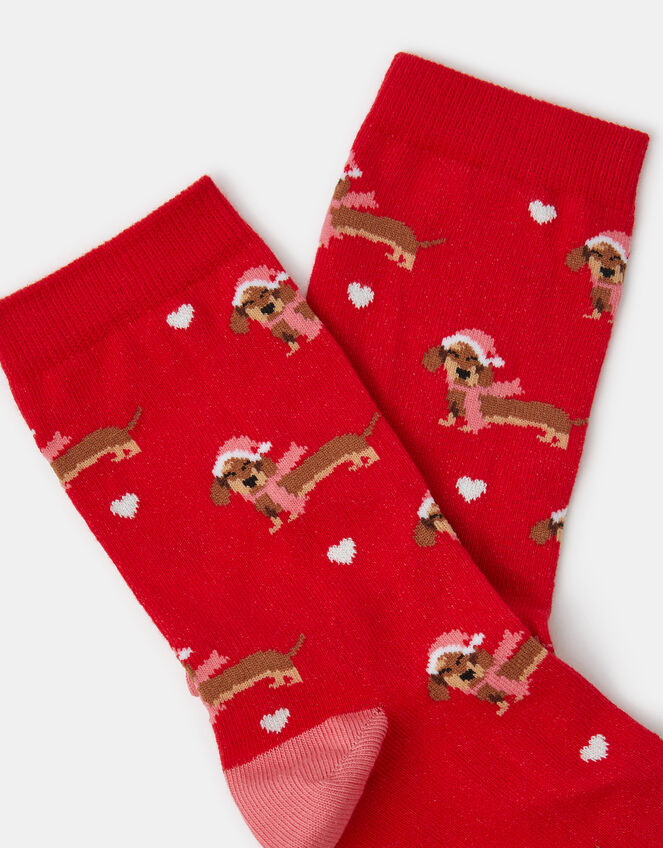 Christmas Sausage Dog Socks, , large