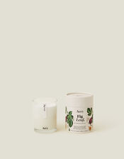 Aery Fig Leaf Candle, , large