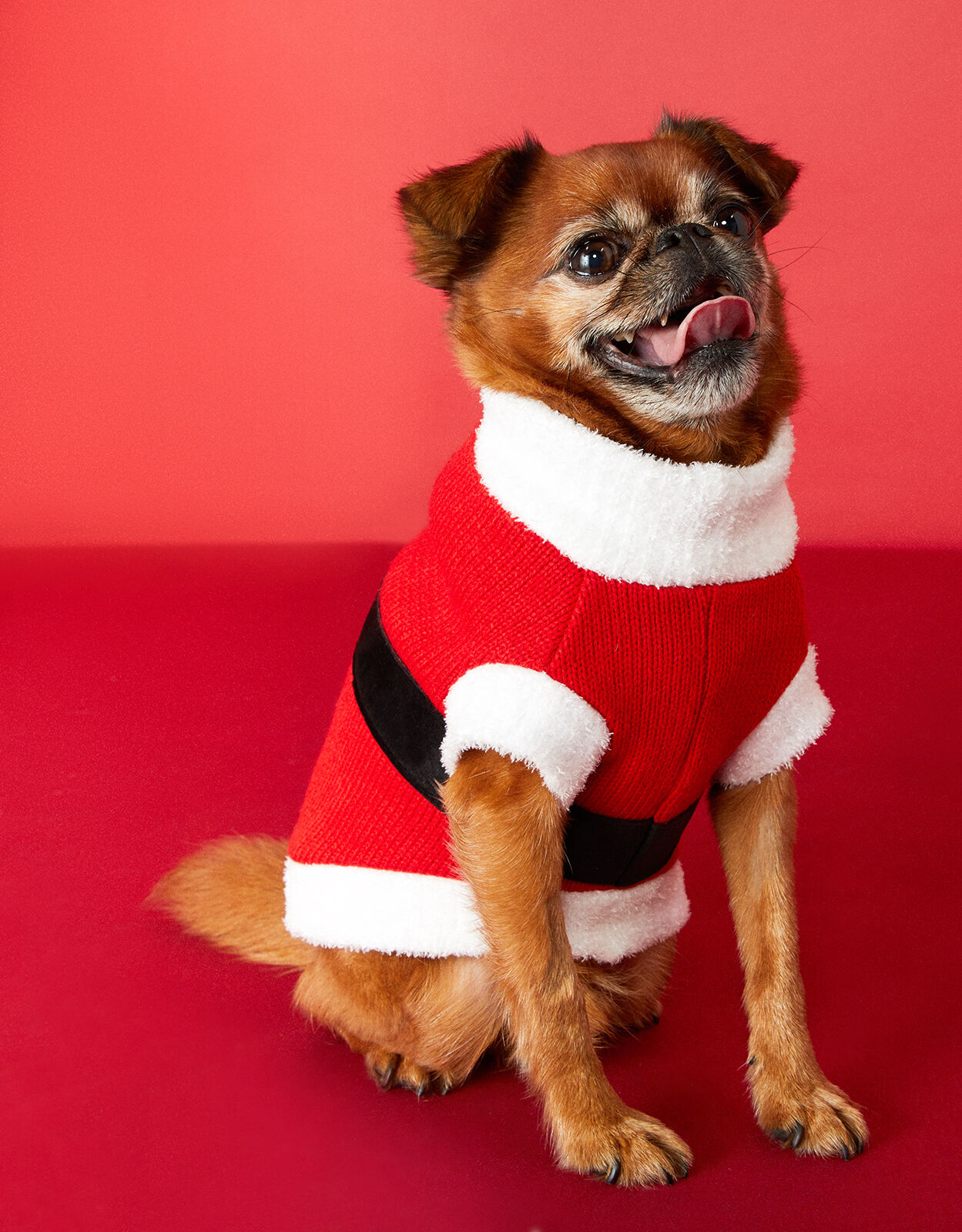 Medium Santa Accessorize BNWT New Accessorize Festive Dog Christmas Jumper with Hood 
