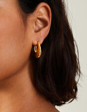 14ct Gold-Plated Horseshoe Hoop Earrings, , large