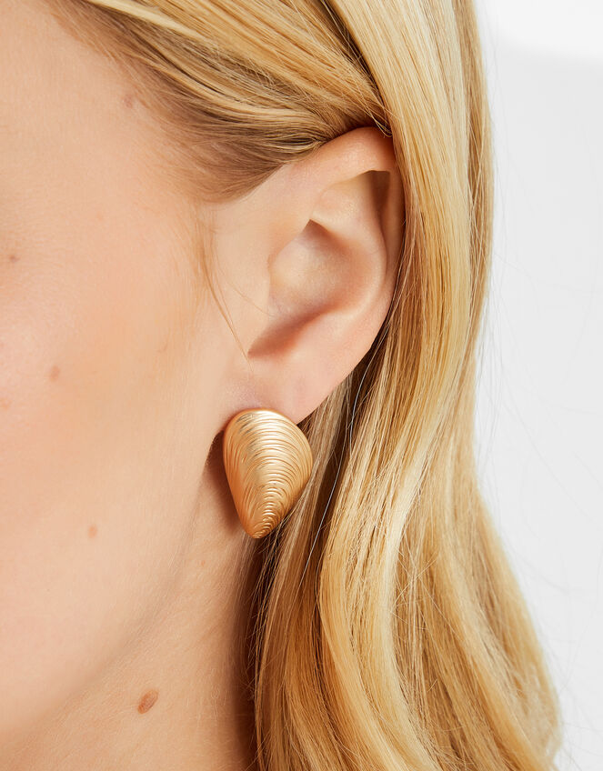 Brushed Seashell Stud Earrings, , large