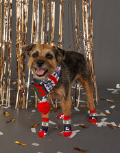 Christmas Fair Isle Dog Scarf, Multi (BRIGHTS-MULTI), large