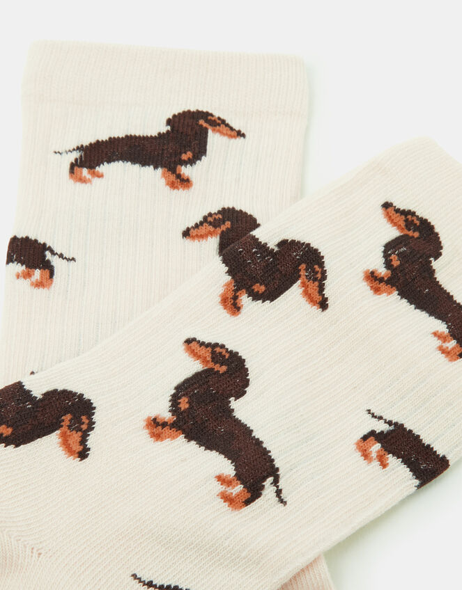 Sausage Dog Print Socks, , large