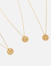 Gold-Plated Textured Horoscope Necklace, Gold (GOLD), large