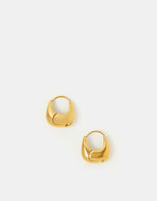 Stainless Steel Horseshoe Hoop Earrings, , large