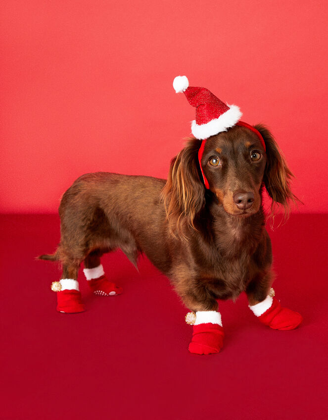 Santa Dog Booties, Red (RED), large