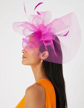 Rhea Large Crin Fascinator , , large