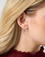 Small Hoop Earrings, Silver (SILVER), large