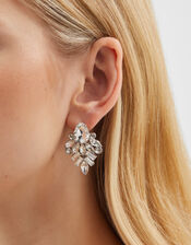 Statement Jewel Drop Earrings, , large
