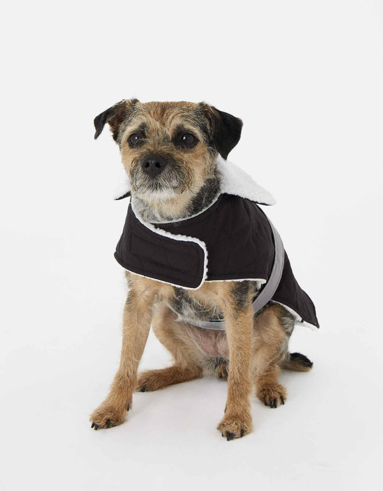 Quilted Dog Jacket with Reflector Strap Black Gifts for pets Accessorize UK