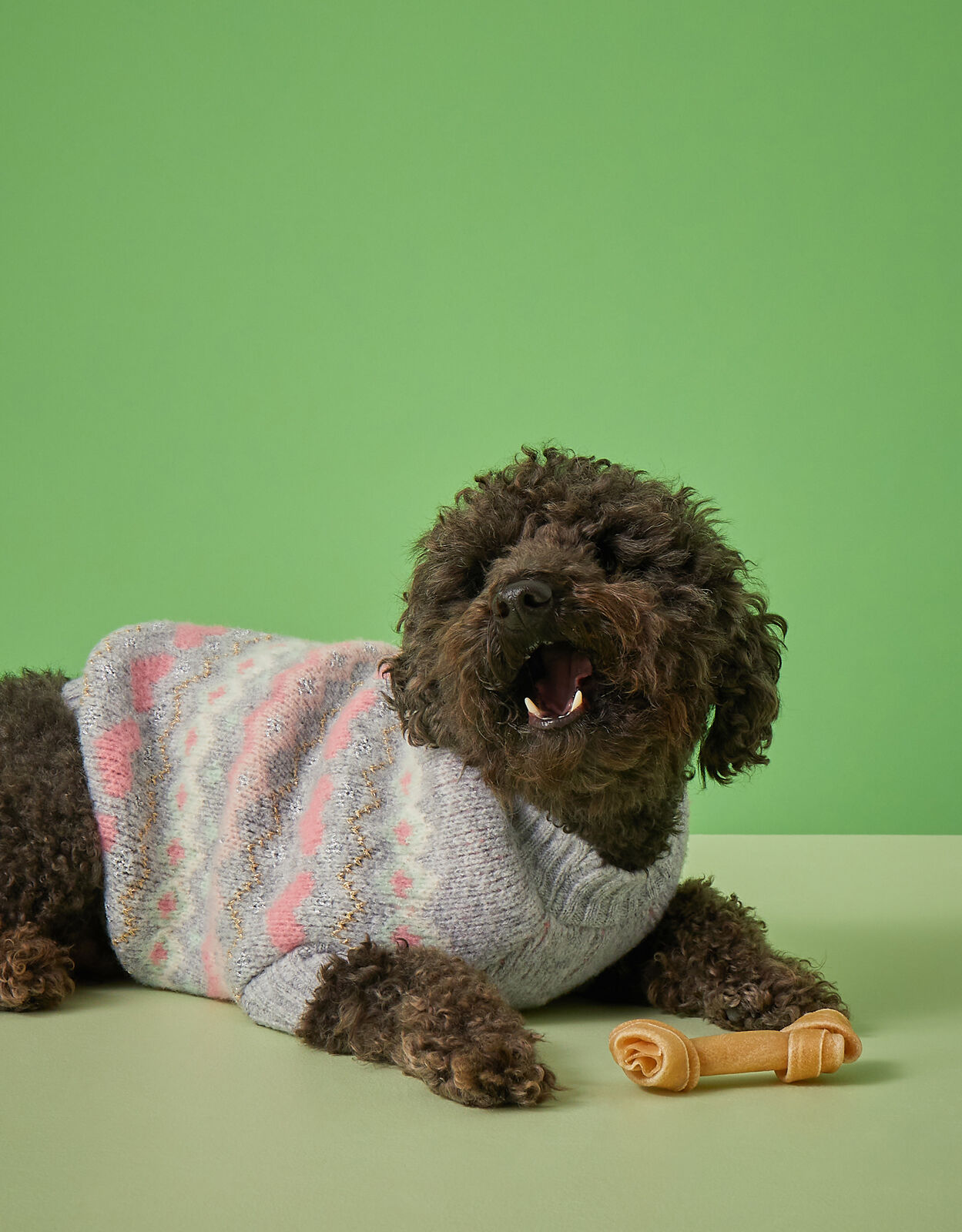 Accessorize dog jumper hotsell