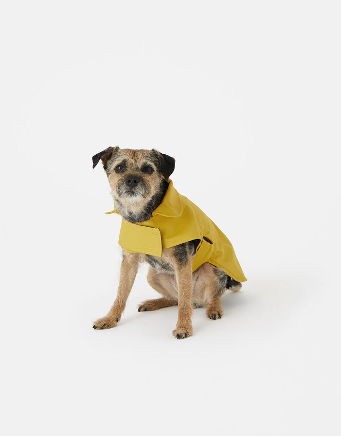Dog Raincoat , Yellow (YELLOW), large