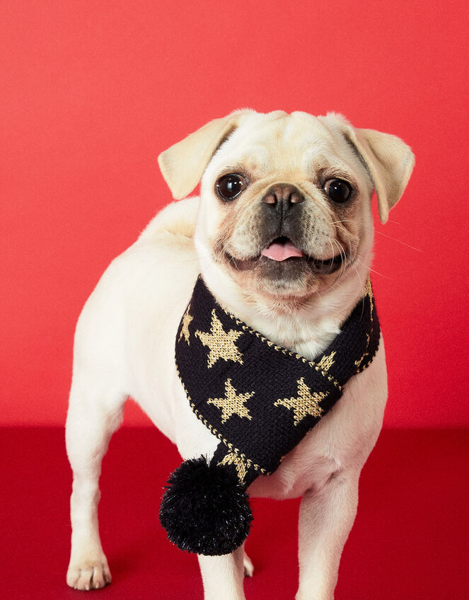 Starry Night Knit Dog Scarf, Blue (NAVY), large