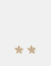 Starfish Stud Earrings, Gold (GOLD), large