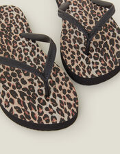 Leopard Print Flip Flops, Multi (DARKS MULTI), large