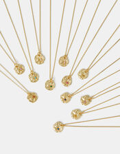 14ct Gold-Plated Molten Birthstone Pendant Necklace, Gold (GOLD), large