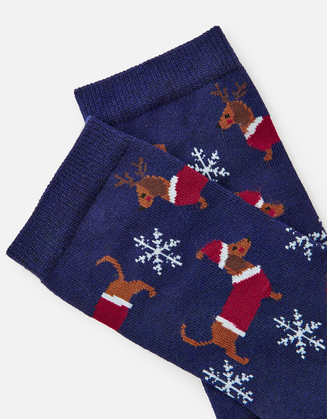 AllOver Festive Sausage Dogs Socks Socks & Tights Accessorize UK