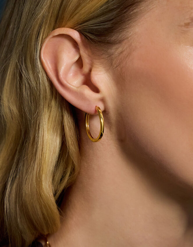 2-Pack 14ct Gold-Plated Hoop Earrings, , large