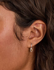 Sterling Silver Healing Stone Hoop Earrings, Brown (BROWN), large