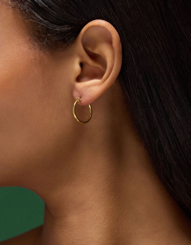 Small Stainless Steel Hoop Earrings, , large