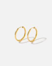 Gold Vermeil Medium Hoops , , large