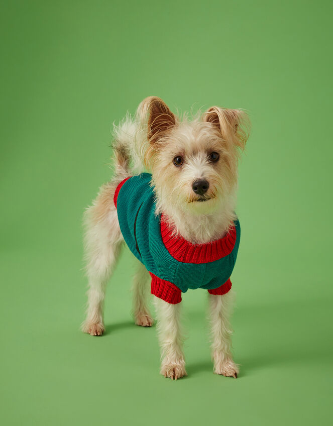 Elf Dog Jumper, Green (GREEN), large