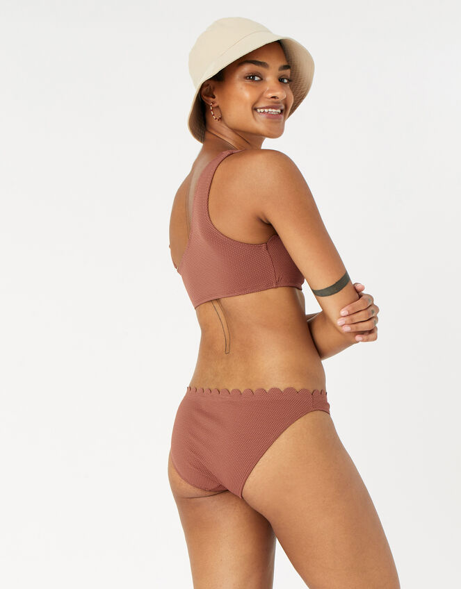 Scallop Bikini Briefs, Orange (RUST), large