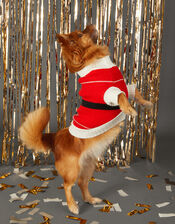 Santa Pet Christmas Jumper, Red (RED), large