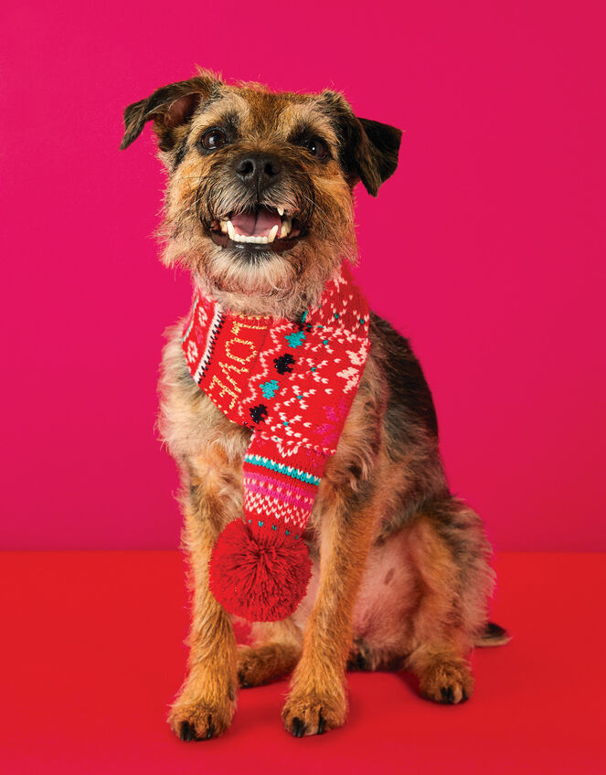 Love Christmas Fair Isle Dog Scarf, Red (RED), large