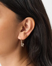 Snake Drop Earrings, , large