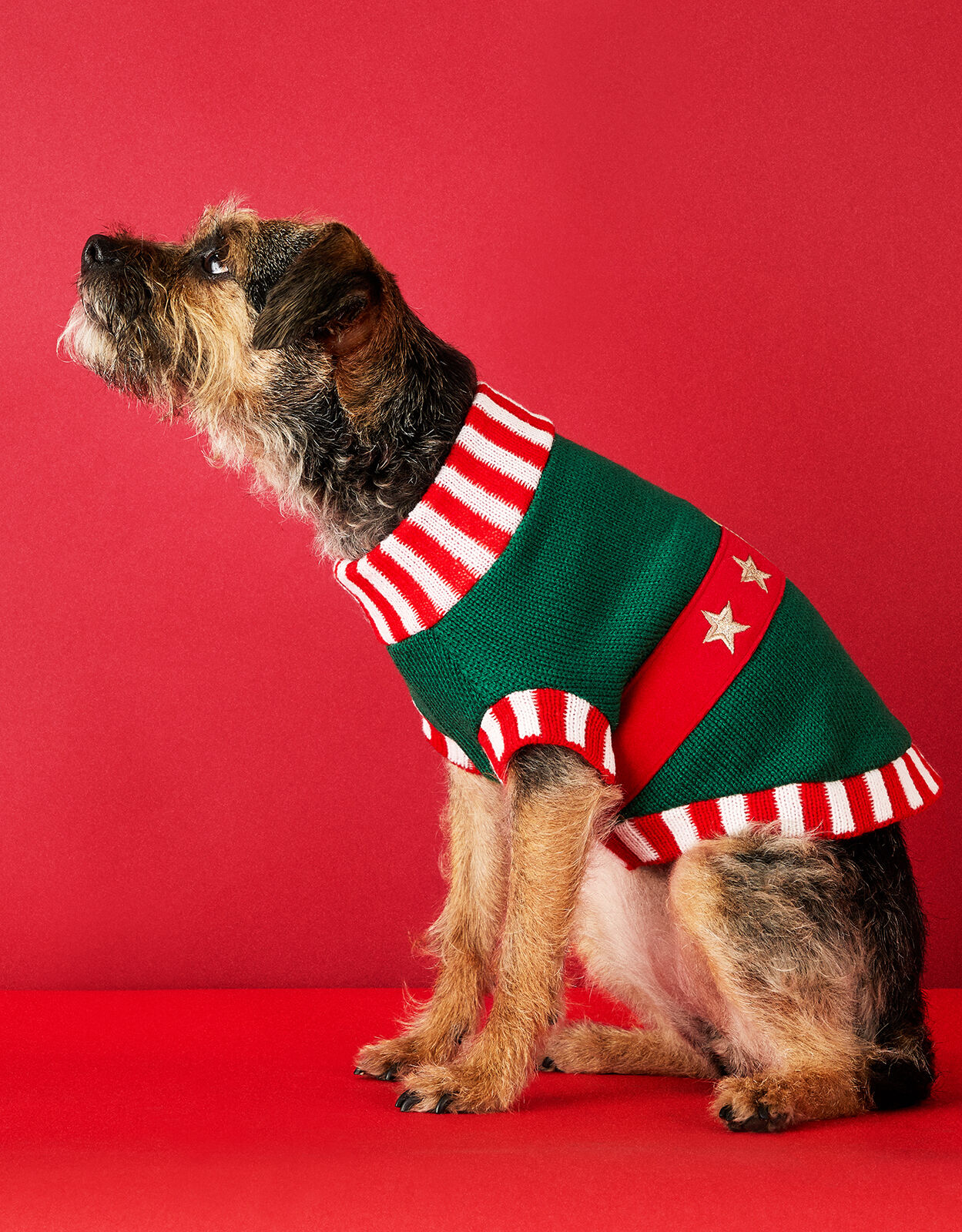 Elf dog jumper hot sale