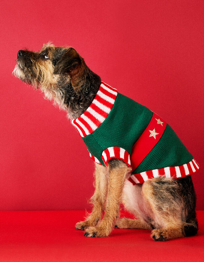 Elf Dog Jumper, Green (GREEN), large