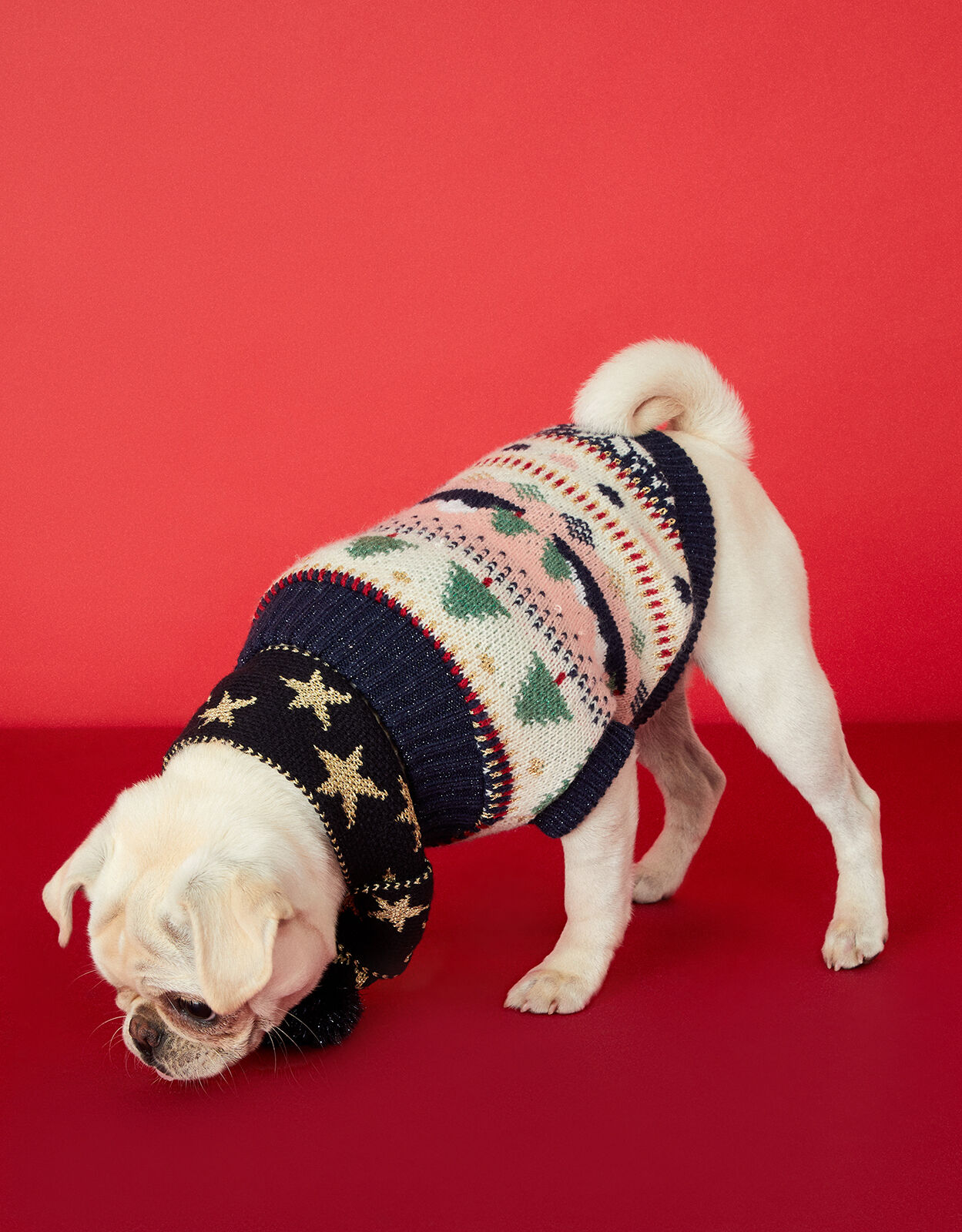 Accessorize dog jumper sales