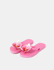 Orchid Flip Flops, Pink (PINK), large