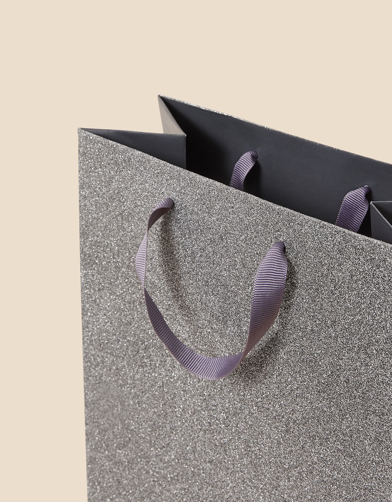 Medium Glitter Gift Bag with BIOGLITTER Silver
