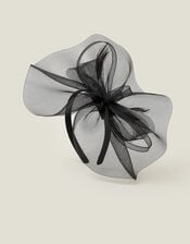 Mia Mini Crin Fascinator, Black (BLACK), large