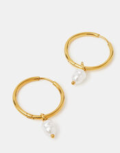 14ct Gold-Plated Stainless Steel Pearl Hoop Earrings, , large