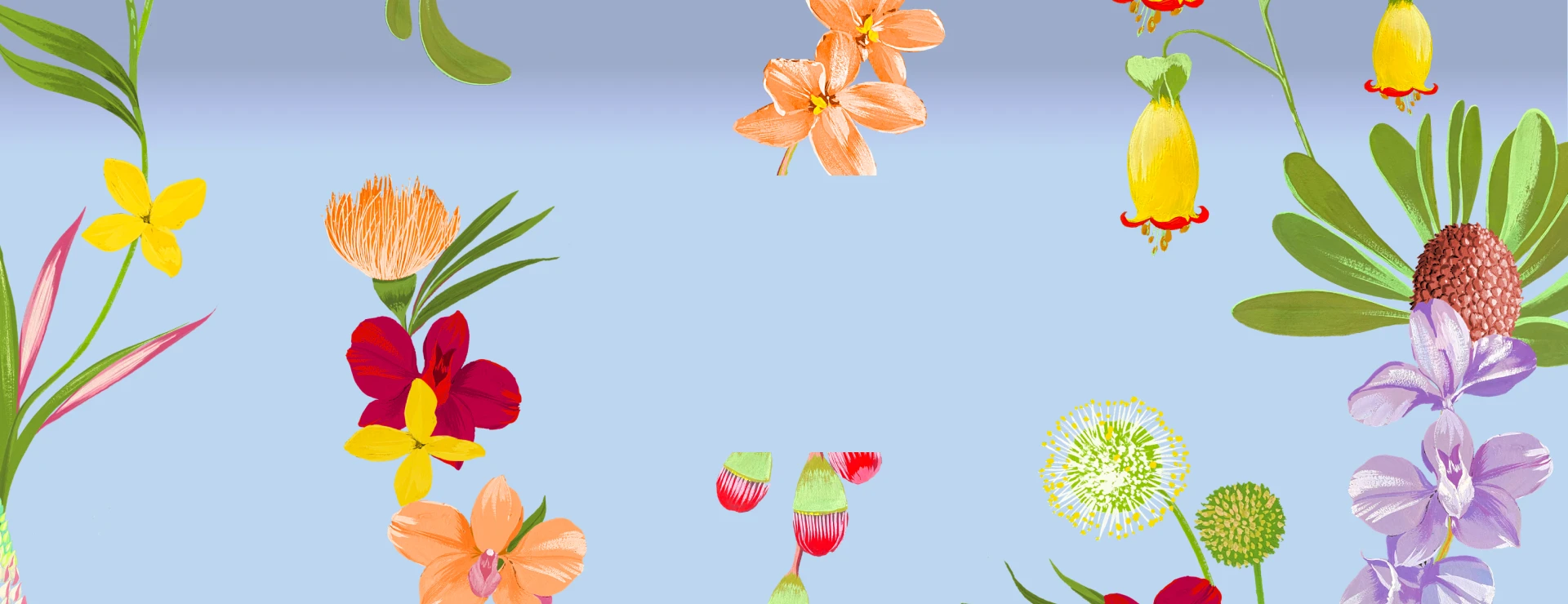 Accessorize shop ireland website