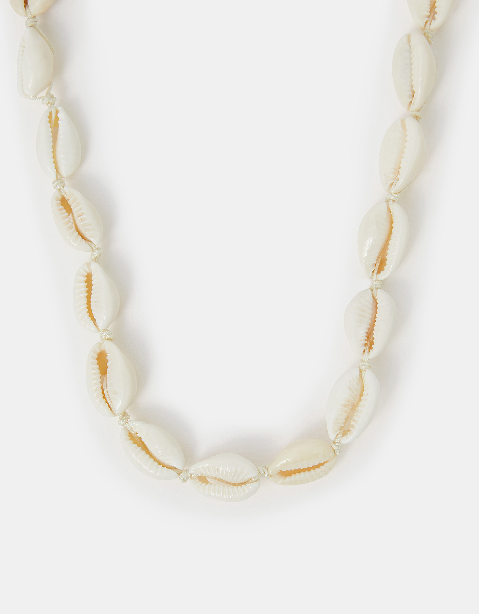 White Cowrie Shell Necklace - Accessorize